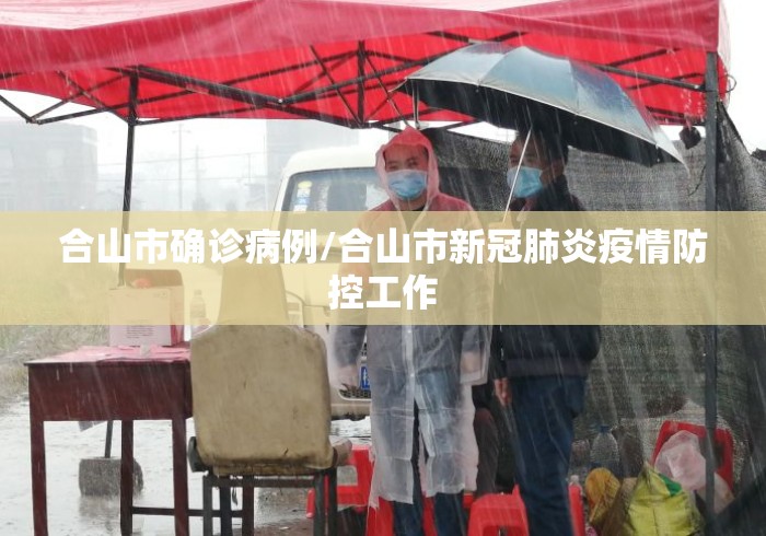 合山市确诊病例/合山市新冠肺炎疫情防控工作