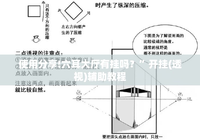 使用分享!六耳大厅有挂吗？”开挂(透视)辅助教程