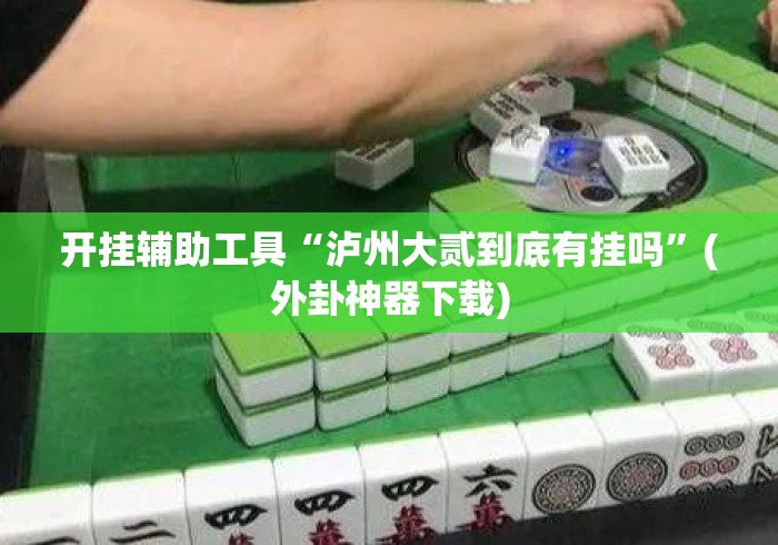 开挂辅助工具“泸州大贰到底有挂吗”(外卦神器下载)