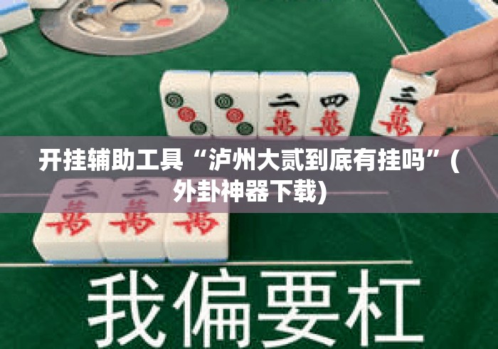 开挂辅助工具“泸州大贰到底有挂吗	”(外卦神器下载)