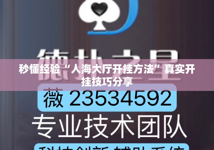 秒懂经验“人海大厅开挂方法”真实开挂技巧分享