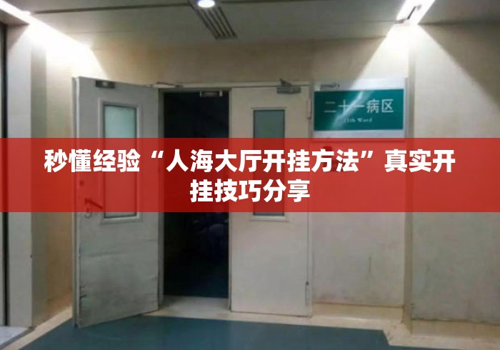 秒懂经验“人海大厅开挂方法”真实开挂技巧分享