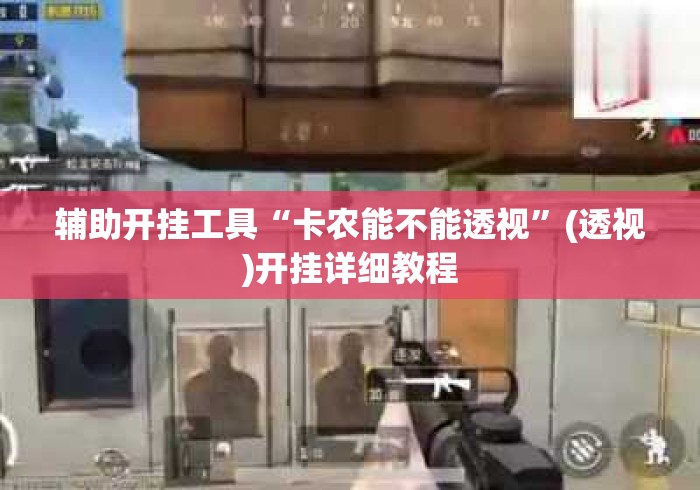 辅助开挂工具“卡农能不能透视”(透视)开挂详细教程