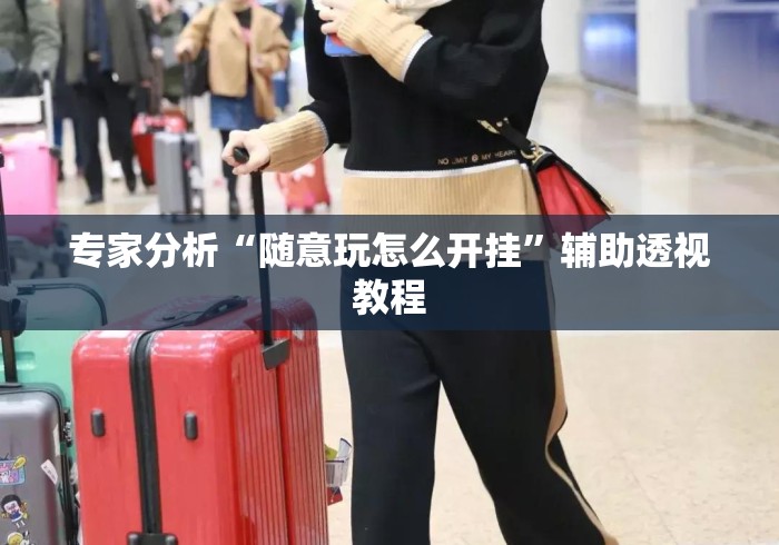 专家分析“随意玩怎么开挂	”辅助透视教程