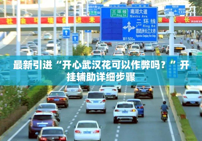 最新引进“开心武汉花可以作弊吗？”开挂辅助详细步骤