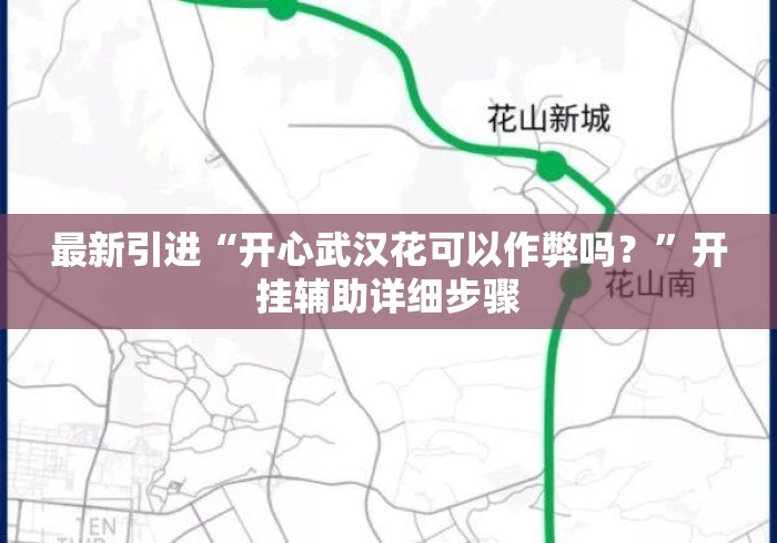 最新引进“开心武汉花可以作弊吗？”开挂辅助详细步骤