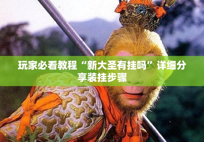 玩家必看教程“新大圣有挂吗”详细分享装挂步骤