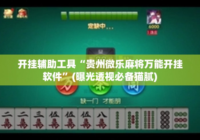 开挂辅助工具“贵州微乐麻将万能开挂软件”(曝光透视必备猫腻)