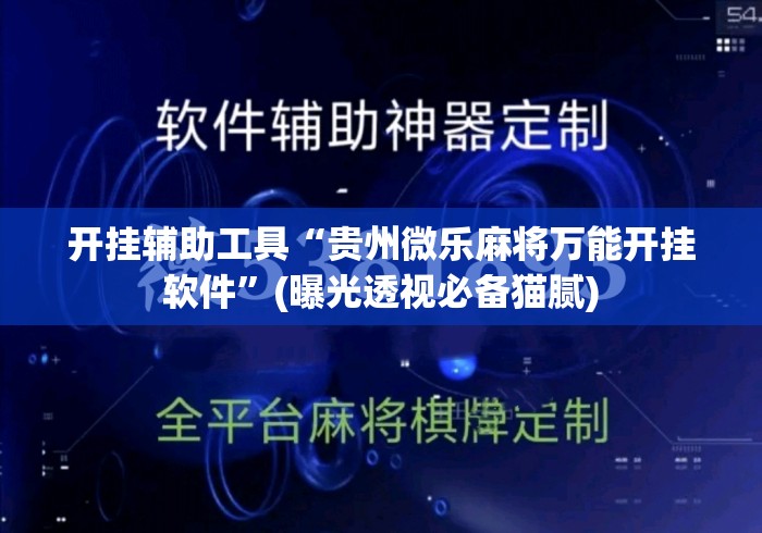 开挂辅助工具“贵州微乐麻将万能开挂软件	”(曝光透视必备猫腻)