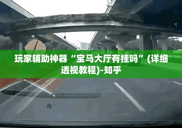 玩家辅助神器“宝马大厅有挂吗	”(详细透视教程)-知乎