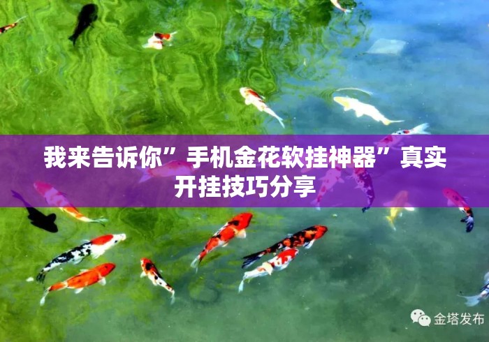 我来告诉你	”手机金花软挂神器”真实开挂技巧分享