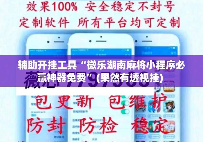 辅助开挂工具“微乐湖南麻将小程序必赢神器免费”(果然有透视挂) 
