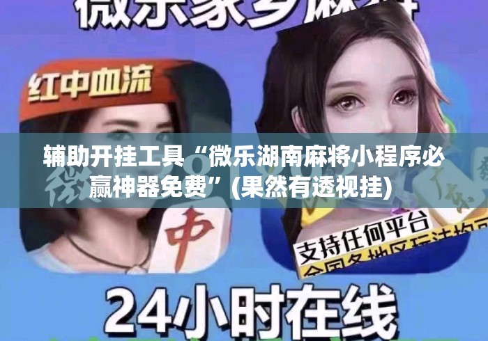 辅助开挂工具“微乐湖南麻将小程序必赢神器免费”(果然有透视挂) 