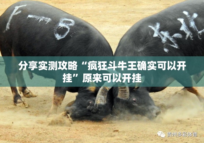 分享实测攻略“疯狂斗牛王确实可以开挂”原来可以开挂