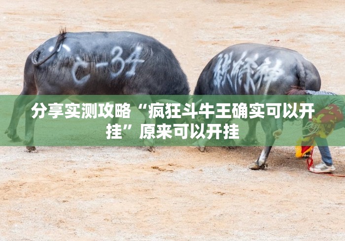 分享实测攻略“疯狂斗牛王确实可以开挂”原来可以开挂