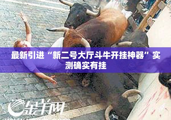 最新引进“新二号大厅斗牛开挂神器”实测确实有挂