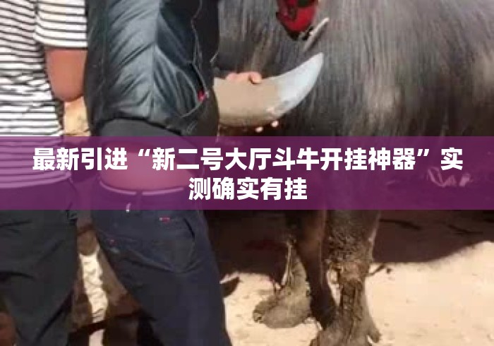 最新引进“新二号大厅斗牛开挂神器	”实测确实有挂