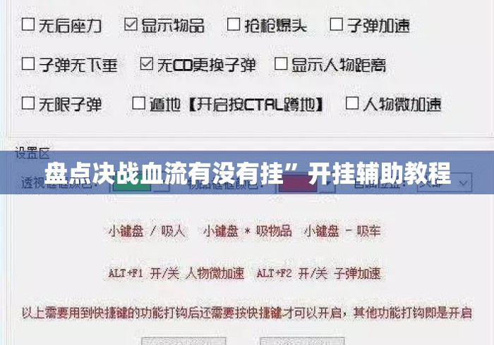 盘点决战血流有没有挂	”开挂辅助教程