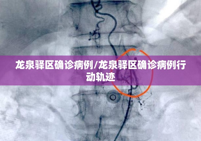 龙泉驿区确诊病例/龙泉驿区确诊病例行动轨迹 龙泉驿区确诊病例/龙泉驿区确诊病例行动轨迹