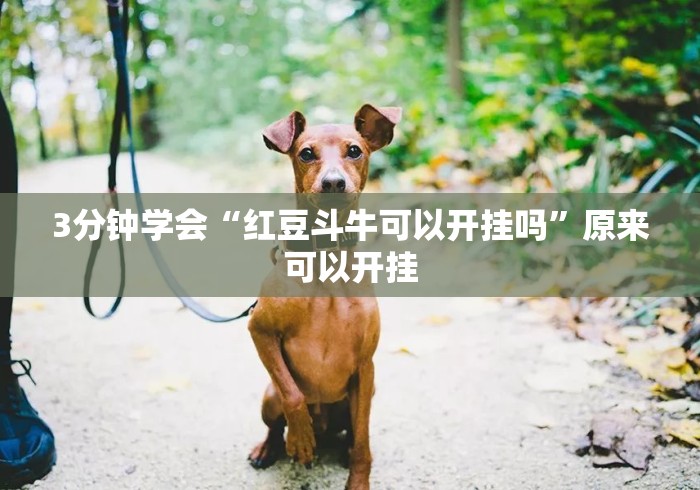 3分钟学会“红豆斗牛可以开挂吗	”原来可以开挂