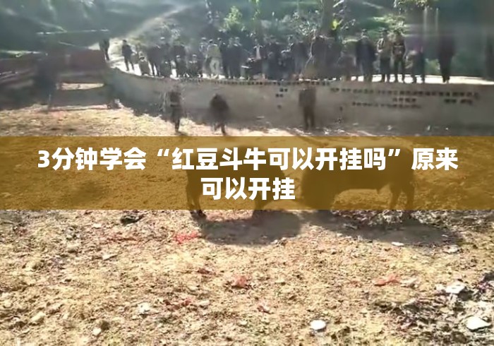 3分钟学会“红豆斗牛可以开挂吗”原来可以开挂