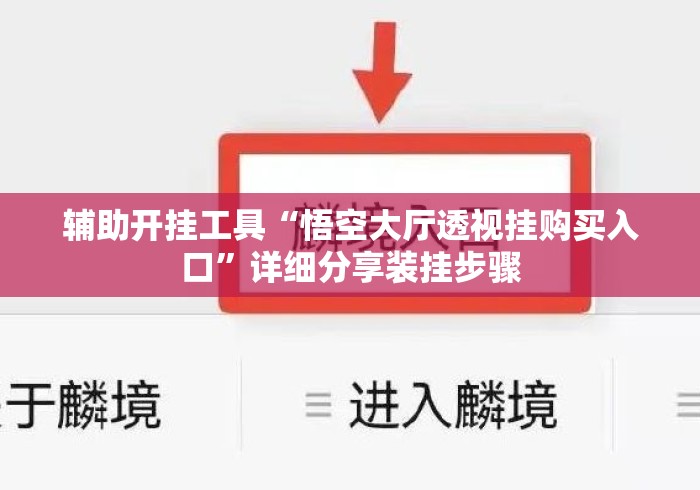 辅助开挂工具“悟空大厅透视挂购买入口”详细分享装挂步骤