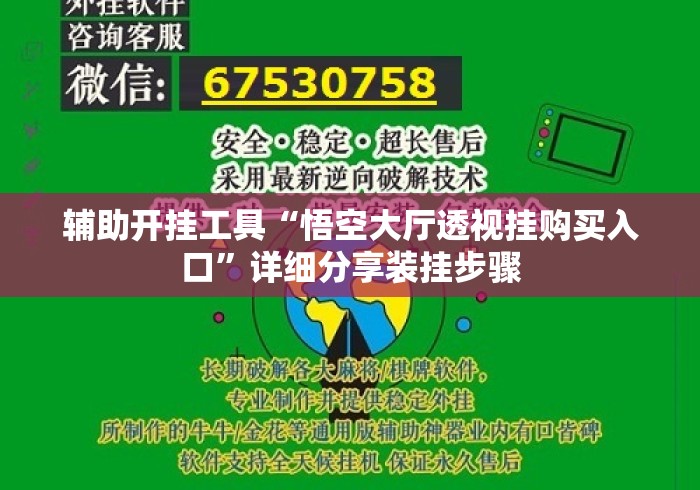 辅助开挂工具“悟空大厅透视挂购买入口	”详细分享装挂步骤