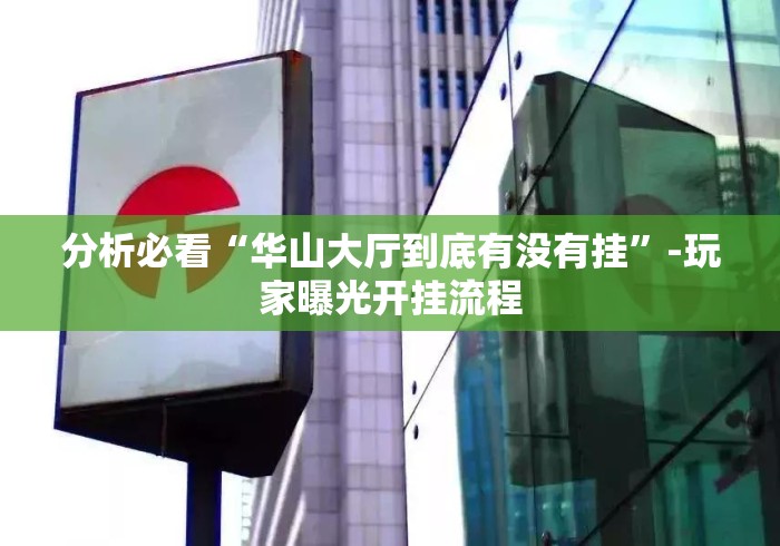 分析必看“华山大厅到底有没有挂	”-玩家曝光开挂流程