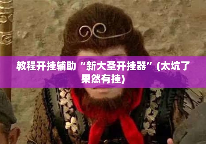 教程开挂辅助“新大圣开挂器”(太坑了果然有挂)