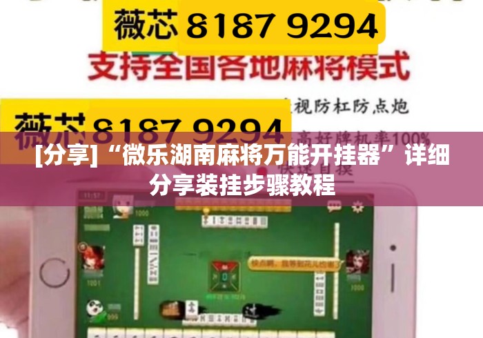 [分享]“微乐湖南麻将万能开挂器	”详细分享装挂步骤教程