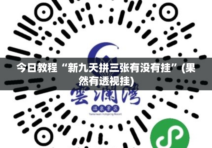 今日教程“新九天拼三张有没有挂”(果然有透视挂)