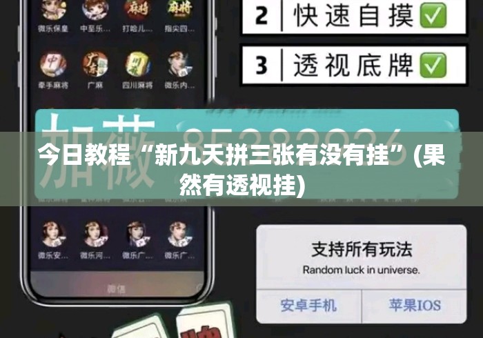 今日教程“新九天拼三张有没有挂”(果然有透视挂)