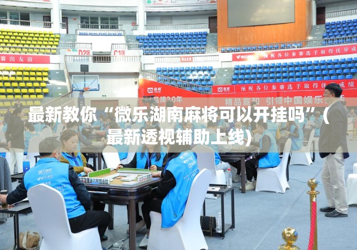 最新教你“微乐湖南麻将可以开挂吗”(最新透视辅助上线)