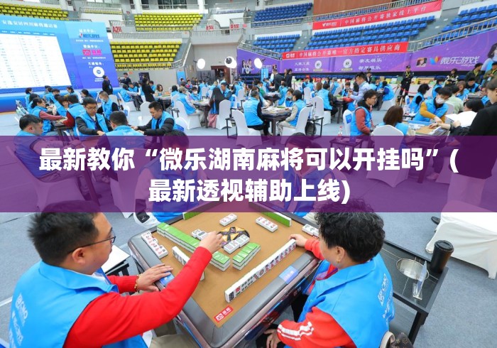 最新教你“微乐湖南麻将可以开挂吗”(最新透视辅助上线)