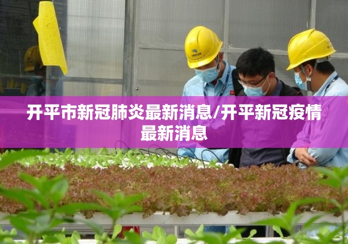 开平市新冠肺炎最新消息/开平新冠疫情最新消息 开平市新冠肺炎最新消息/开平新冠疫情最新消息