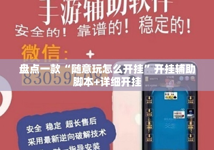 盘点一款“随意玩怎么开挂”开挂辅助脚本+详细开挂