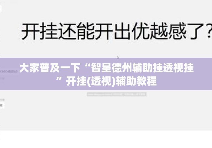 大家普及一下“智星德州辅助挂透视挂”开挂(透视)辅助教程