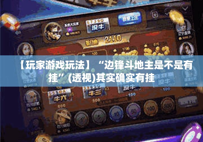 【玩家游戏玩法】“边锋斗地主是不是有挂	”(透视)其实确实有挂
