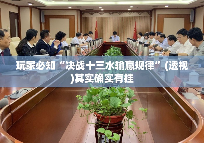 玩家必知“决战十三水输赢规律”(透视)其实确实有挂