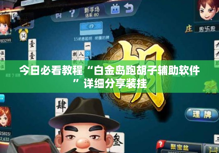 今日必看教程“白金岛跑胡子辅助软件”详细分享装挂