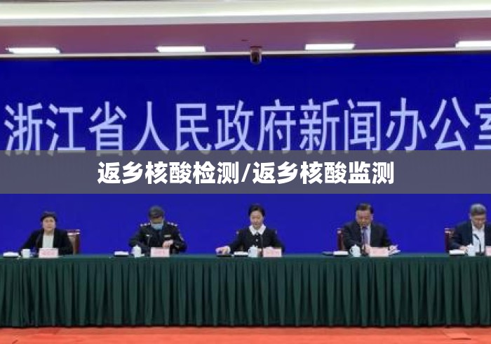 返乡核酸检测/返乡核酸监测