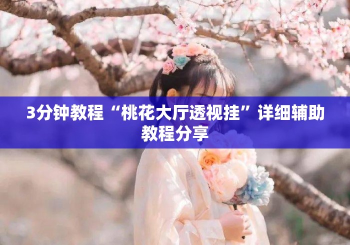 3分钟教程“桃花大厅透视挂”详细辅助教程分享