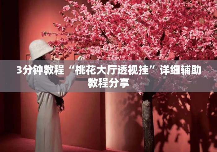 3分钟教程“桃花大厅透视挂	”详细辅助教程分享