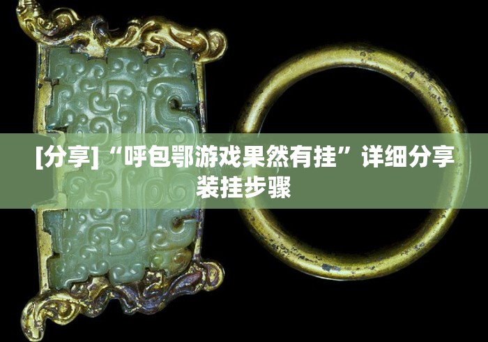 [分享]“呼包鄂游戏果然有挂	”详细分享装挂步骤