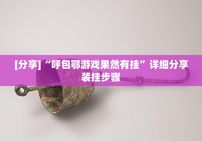 [分享]“呼包鄂游戏果然有挂”详细分享装挂步骤