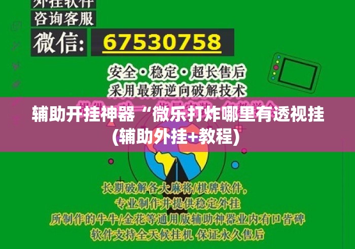 辅助开挂神器“微乐打炸哪里有透视挂(辅助外挂+教程) 
