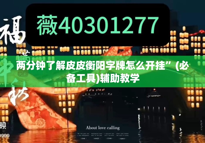 两分钟了解皮皮衡阳字牌怎么开挂”(必备工具)辅助教学