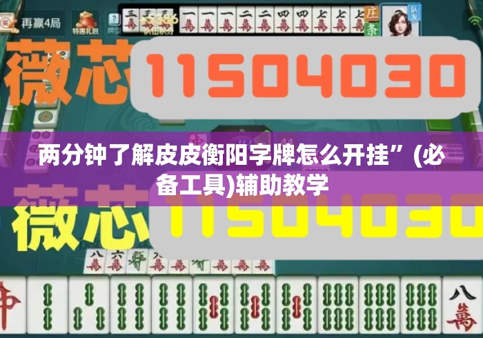 两分钟了解皮皮衡阳字牌怎么开挂	”(必备工具)辅助教学