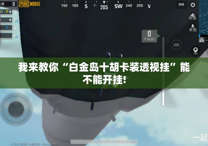 我来教你“白金岛十胡卡装透视挂”能不能开挂!