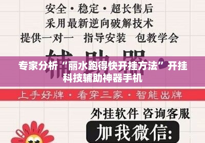 专家分析“丽水跑得快开挂方法”开挂科技辅助神器手机